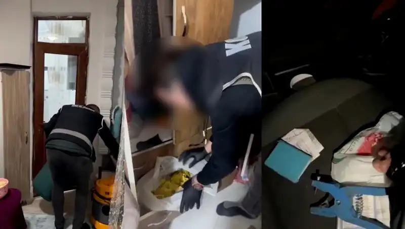 Hayvan Sevk Belgesi Usulsüzlüğü Operasyonu: Dokuz Kişi Gözaltında!