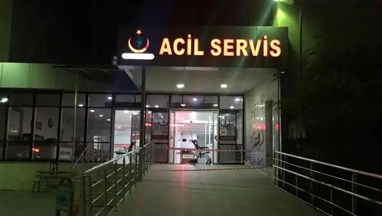 Kardeş Kavgası: Ailedeki Gizli Çatışmanın Kanlı Sonucu