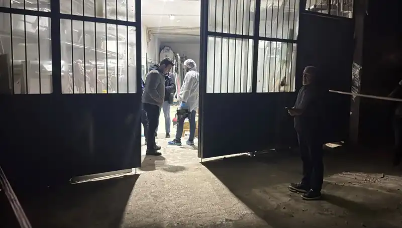 İş Yerinde Gerilim Tırmandı: Korkunç Cinayet ve Battaniye Gizemi