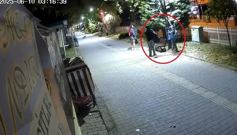 Aydınlatma Direklerindeki LED Işıkları Soygun: 300 Bin TL'lik Büyük Zarar!