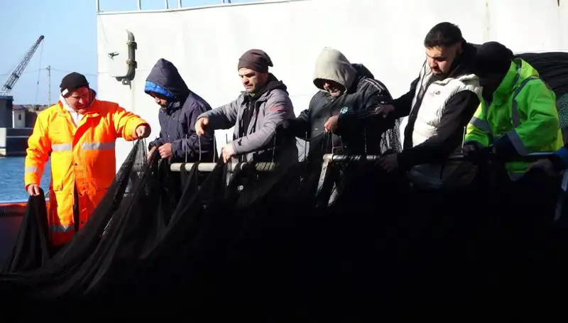 Denizlerde Hamsi Avı Neden Kısıtlandı? Tekneler Neden Erken Veda Etti?