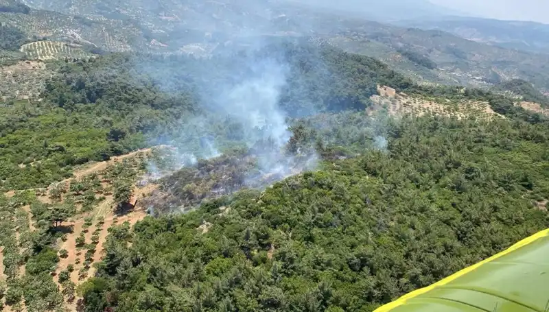 Aydın'da Kontrol Altına Alınan Orman Yangını, Doğaya Zarar Verdi mi?