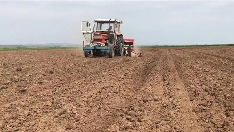 Son 35 Yılın En Kurak Mart Ayı: Türkiye'de Yağış Oranı Tarih Yazdı