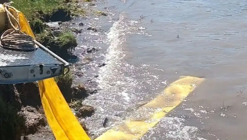 Göletlerde Yavru Balık Bırakılmasına Dair Heyecan Verici Gelişmeler